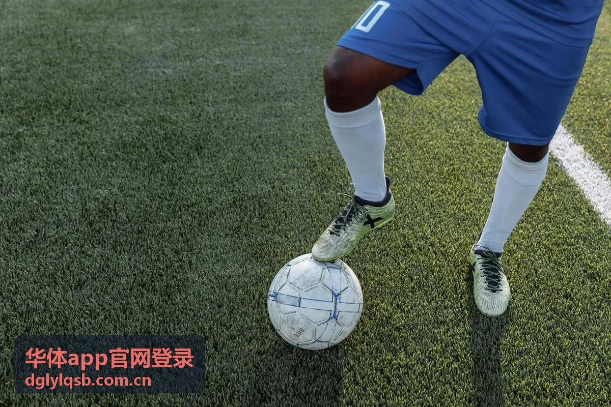 华体app官网登录验证码与密码登录方式说明配图